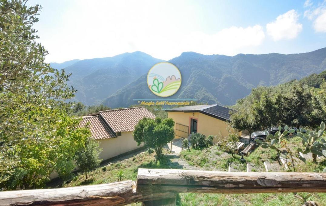 Magia Dell'Aspromonte Bed & Breakfast Cimina Exterior photo