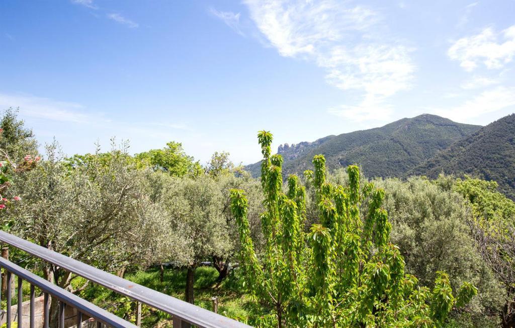 Magia Dell'Aspromonte Bed & Breakfast Cimina Exterior photo